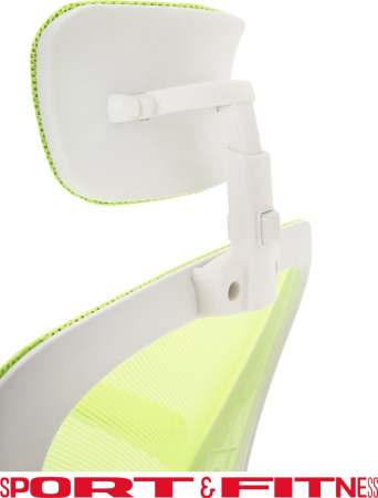 Офисное кресло Sport&Fitness SFBRCS20W, белый, зеленый