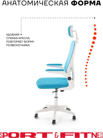Офисное кресло Sport&Fitness SFBRCS20W, белый, голубой